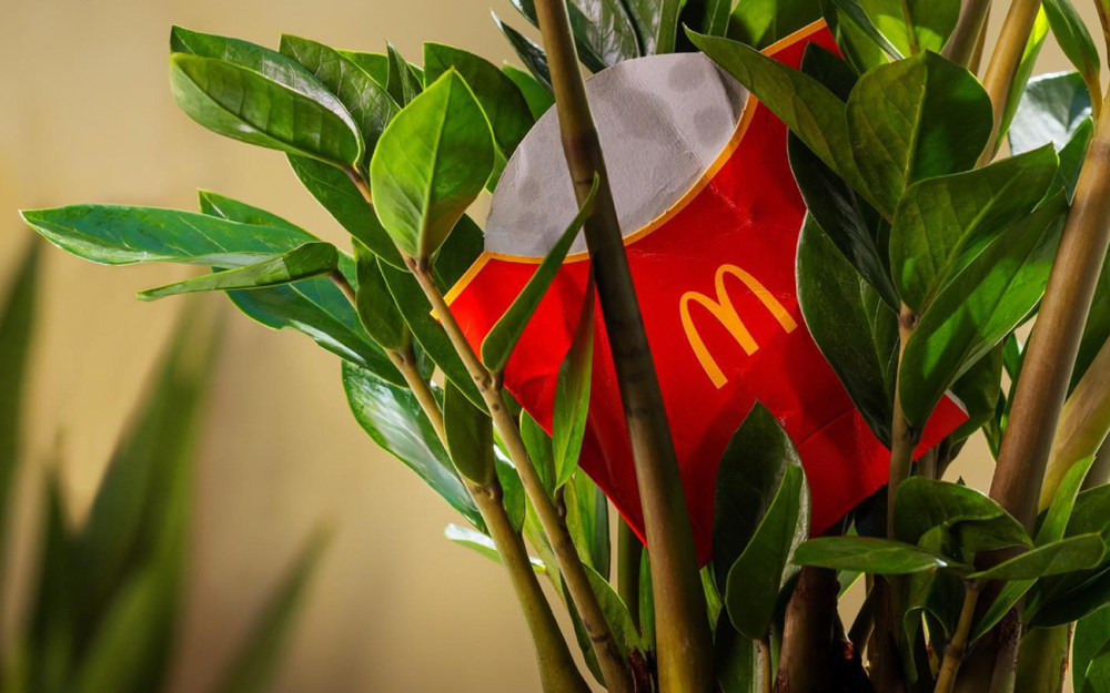 A Campaign by McDonald's that Tastes Sustainability