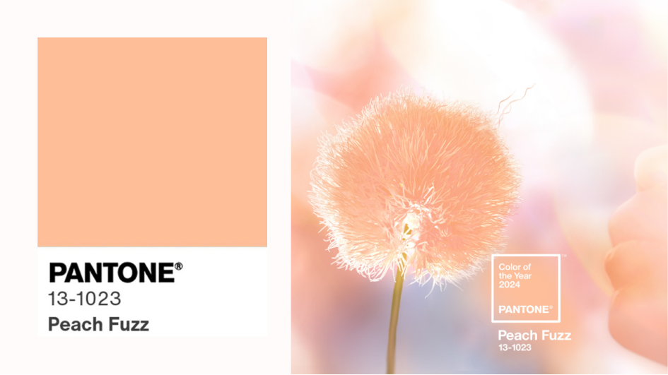 Pantone's Color of The Year For 2024 is Peach Fuzz